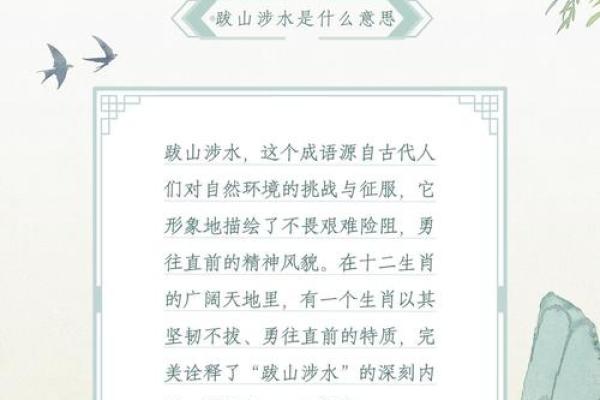 探寻51年生肖与命运的奥秘：揭秘鼠年人的独特人生轨迹