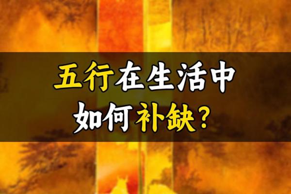 解密姓名背后的命理：86、87年出生者的五行解析与性格特征