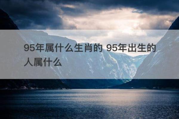 1995年出生的人命运与最佳配对详解