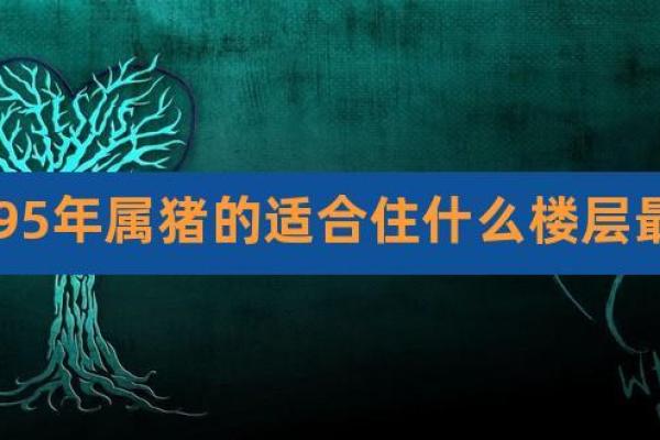 1995年出生的人命运与最佳配对详解