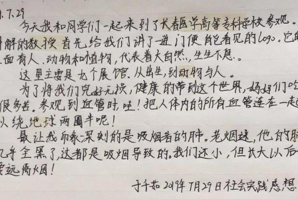 壬申卯时出生之命运解析：探索生命的奥秘与潜能