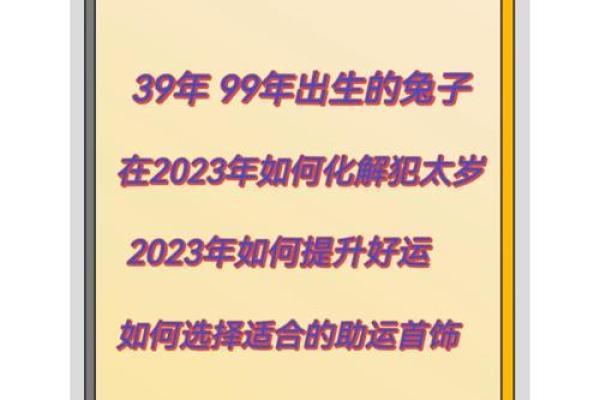 1953年出生的鼠命人生智慧与运势解析