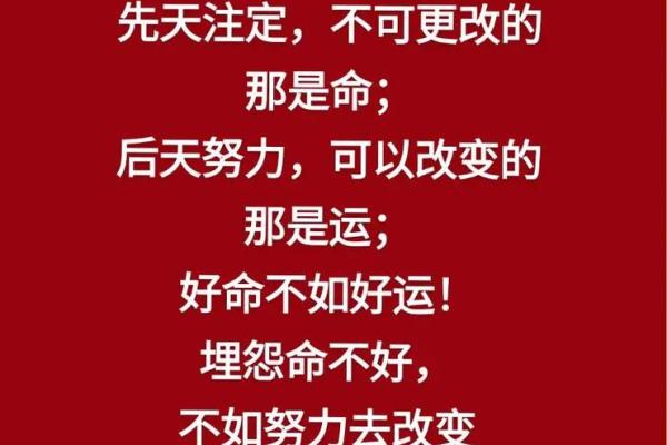 掌握60年命理，洞悉人生智慧——解读命与运的秘密