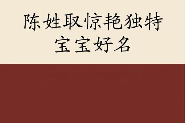 2023年生肖兔宝宝：幸运与成长的命运之旅