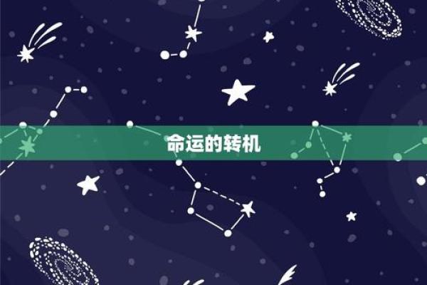 属狗的28岁：命运与机遇并存的转折点