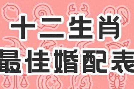 探索2007年的命运：解析属于这个年份的独特生肖与运势