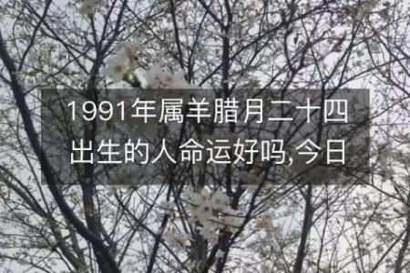 1991年出生女性的命理分析与人生启示