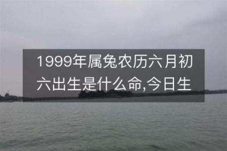 1963年出生属兔的命运与人生解析