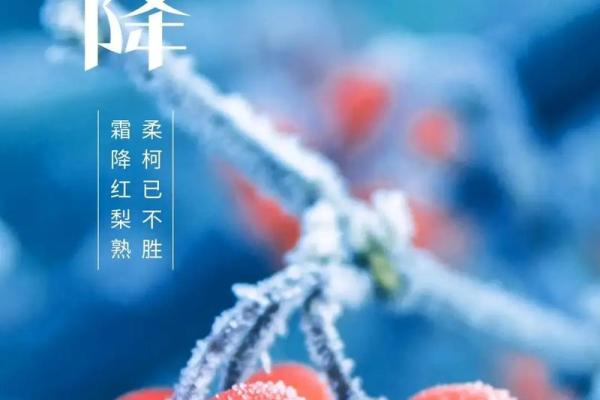 2022年是壬寅年，这一年生于何处皆有鸡命的机缘与挑战