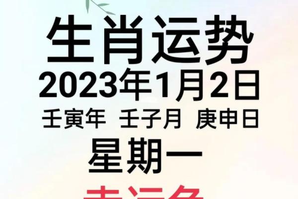 2022年是壬寅年，这一年生于何处皆有鸡命的机缘与挑战