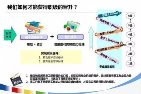 水命蛇：五行属性引导职业选择的智慧