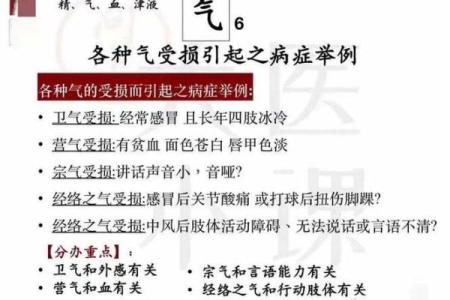 探究命气的奥秘：理解命气对人生的影响与应用