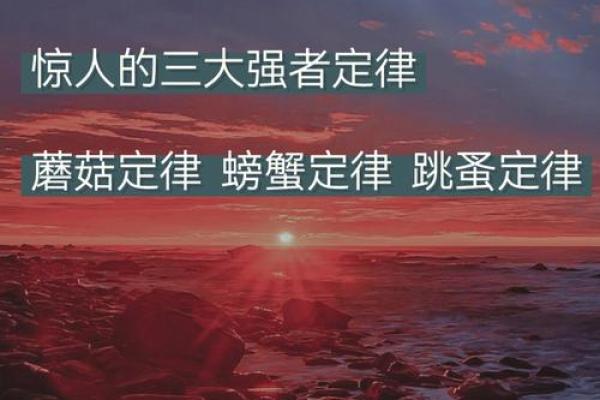 探寻“谋命”的深层意义与现实运用：一场关于生命与选择的思考