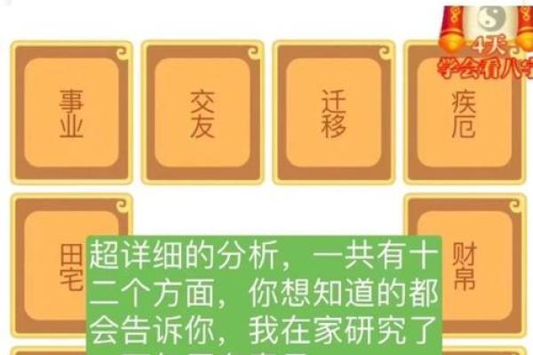 探寻命格奥秘：命、运与性格的奇妙关系