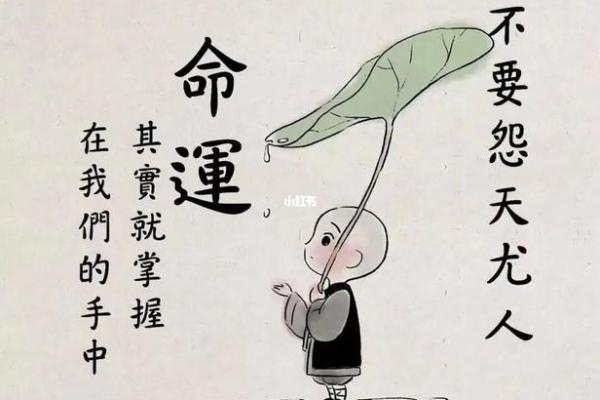 三十七属猪的命运与人生解析：如何掌控命运，成就辉煌人生