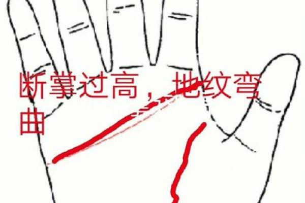 双手断掌男人命运解析：你知道他们的未来吗？