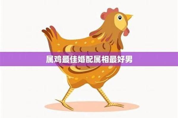 21岁属鸡的人命运解析：从性格到运势的细致观察