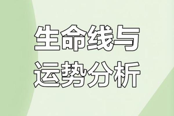 手相揭秘：没有斗的命运与人生轨迹解析