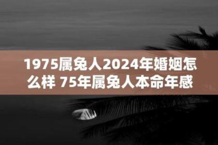 75年兔年解析：属兔人的命运与性格揭秘