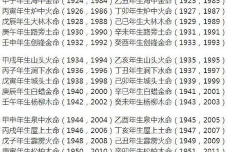 2008年属鼠的人命运解析：幸运与挑战并存的生肖之旅