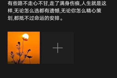 不管发生什么，命运总是如此安排——我的人生感悟