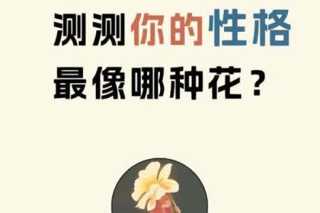 1978年出生的孩子命运与性格探秘：你了解自己的命吗？