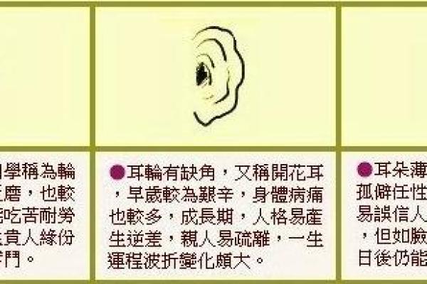 火鸡宝宝的命运：探索其生辰与性格的奇妙关联