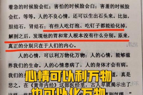 女人圆小下巴的命运解析：揭示隐藏的性格与人生轨迹