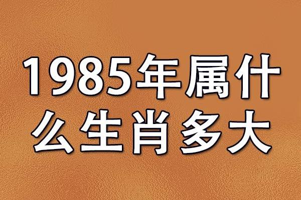 85年出生的属相与命运解析：探寻人生道路的秘密