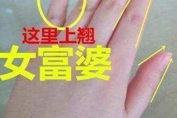 富贵命：如何通过智慧与努力实现理想的养老生活