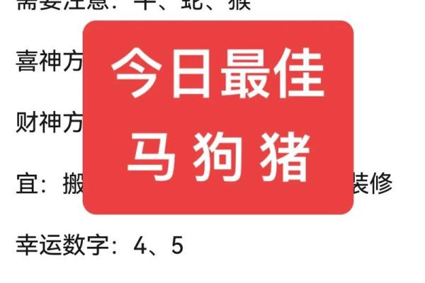 43年属什么生肖，揭开命运的神秘面纱！