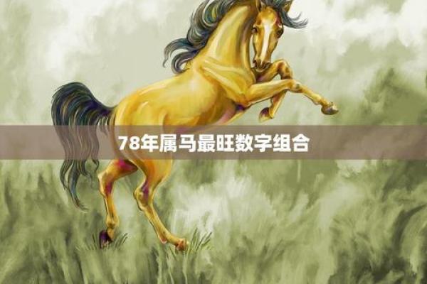 根据命理缺什么就要戴什么，提升运势的秘密武器