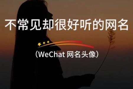 适合水命人的网名：从自然到灵动的美丽灵感