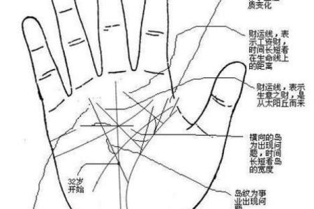 指甲形状解析：探寻你的命理密码与性格特征