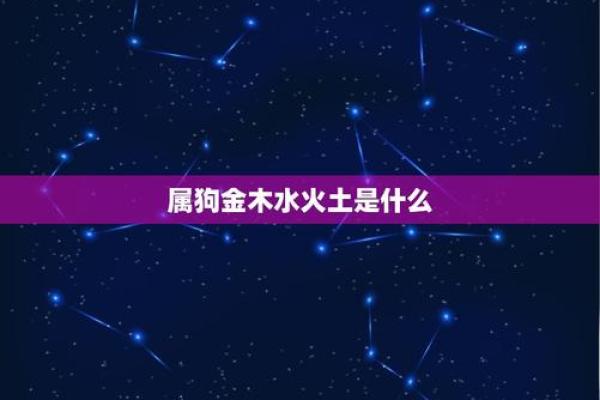 属狗之人74岁命运解析，缘起与未来的启示