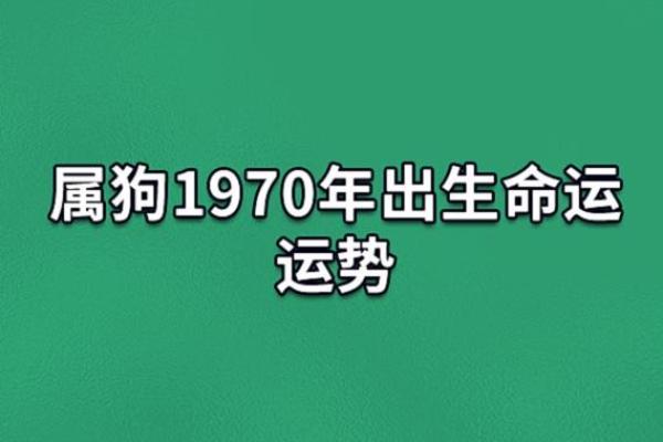 属狗之人74岁命运解析，缘起与未来的启示