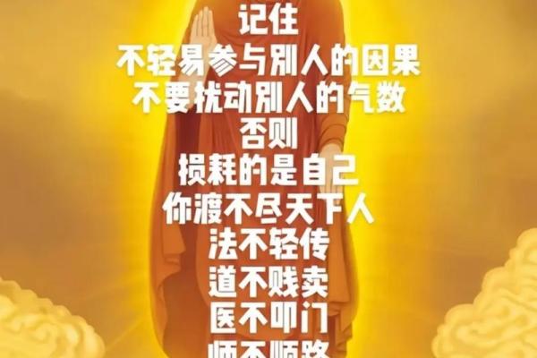 大师为何拒绝小孩命：探寻人生的真谛与选择的意义