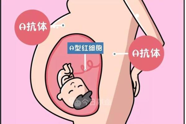 揭晓：哪种血型的女人命运最差？