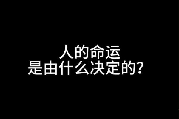 长什么样就什么命吗？外貌与命运的探索