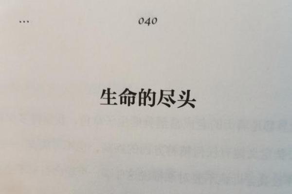 有一命换一命的智慧：探索生命的价值与意义