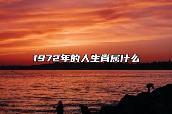 1972年出生的人命运特征与性格分析