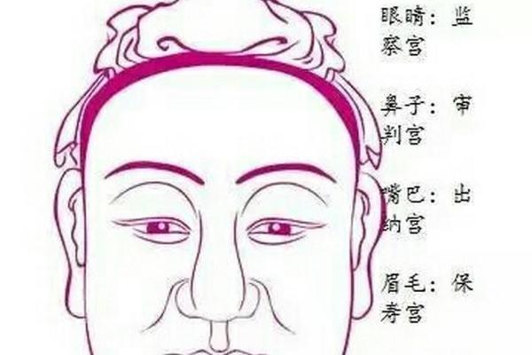 解密长眉老人的命运：眉毛与命理的奇妙关联