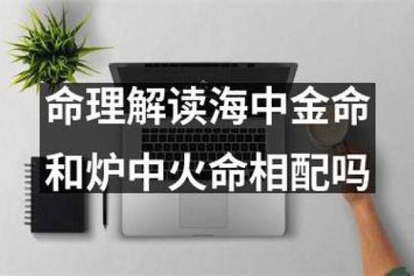 探寻甲子海中金命者的内心世界与缺失之美