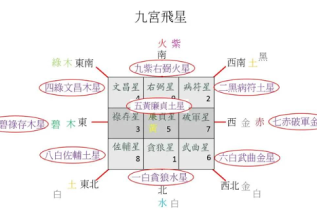 98年虎子是什么命：探索命理与性格的奥秘