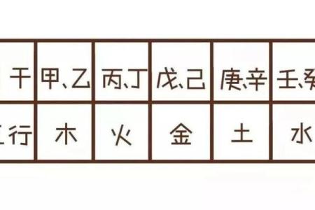 探索1994年份的命运与性格特征——揭秘癸戌年命理奥秘