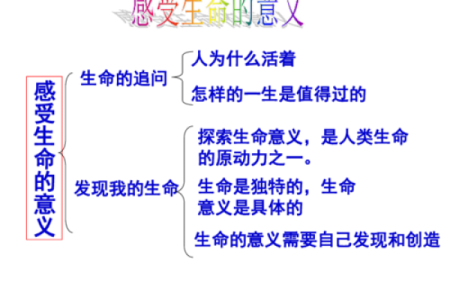 探索生命的极限：为何有人不惜一切代价追求梦想