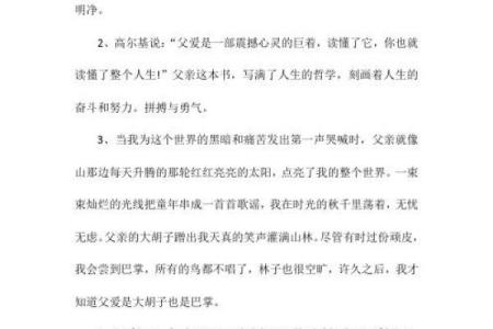 在无父的岁月中成长：寻找生命的意义与自我认同