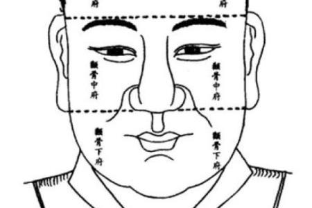 命理学中的骨相解析：看透你内心深处的秘密