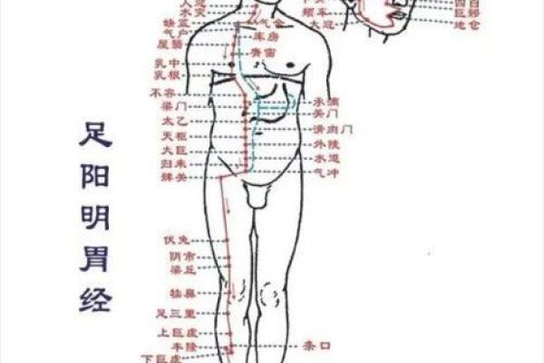 太阴坐命巳宫，太阳在酉宫的命格解析与运势提升