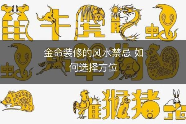 金命人适合的最佳方位与发展建议分析